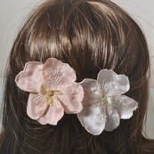 the flowers bloom.